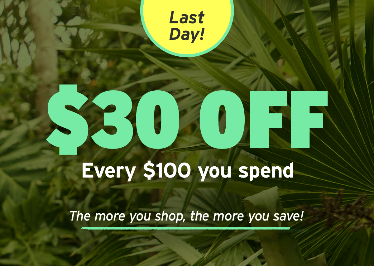 Last day! Shop $30 Off Every $100 you spend