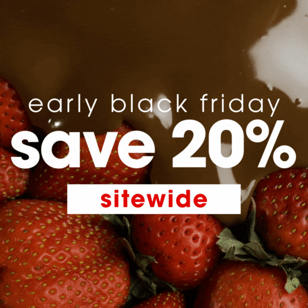 Black Friday Flash Sale