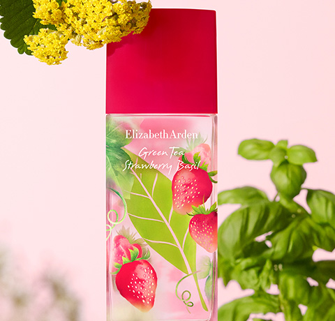 GREEN TEA STRAWBERRY BASIL HONEY DROPS BODY CREAM