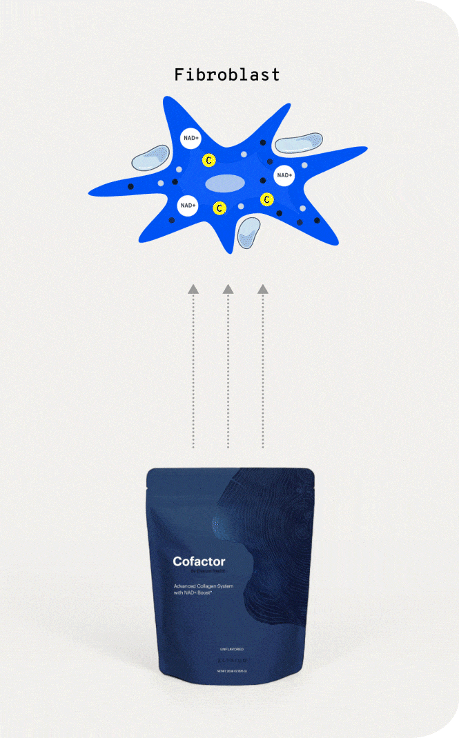 Cofactor