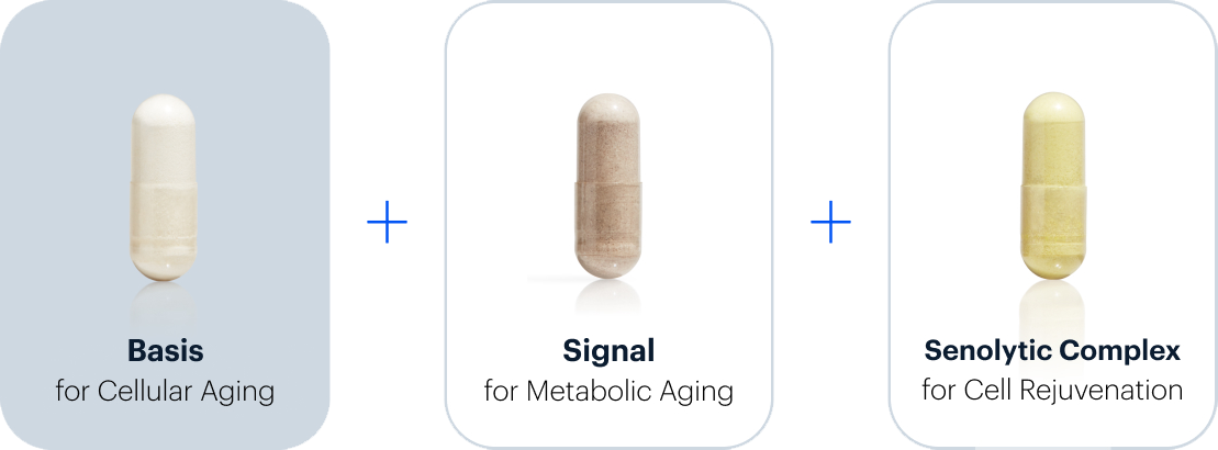 Basis for Cellular Aging + Signal for Metabolic Agingn | Senolytic Complex for Cell Rejuvenation