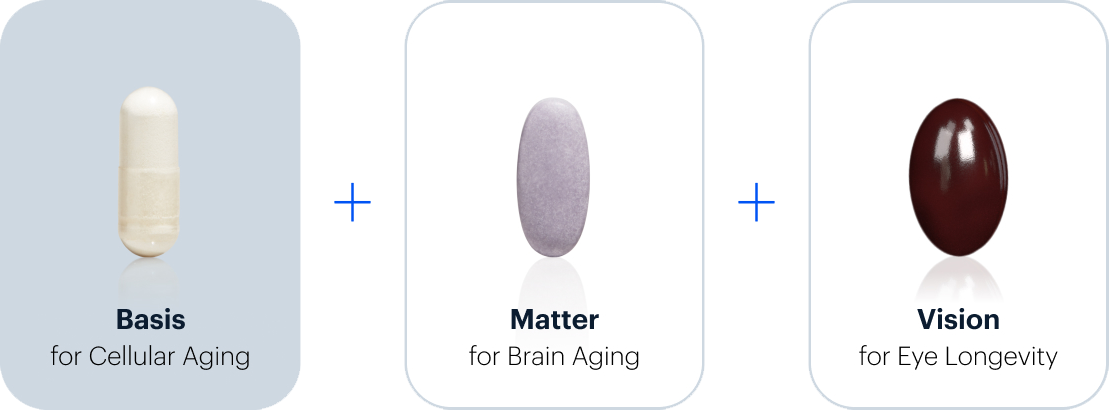 Basis for Cellular Aging + Matter for Brain Aging + Vision for Eye Longetivity