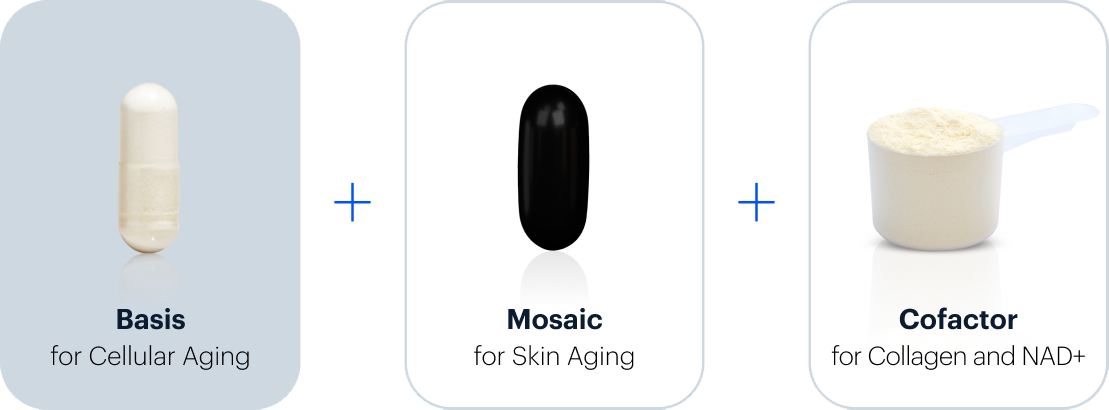 Basis for Cellular Aging + Mosaic for Skin Aging | Cofactor for Collagen and NAD+