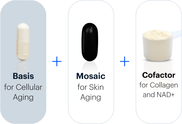 Basis for Cellular Aging + Mosaic for Skin Aging | Cofactor for Collagen and NAD+