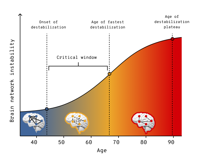 Brain network instability