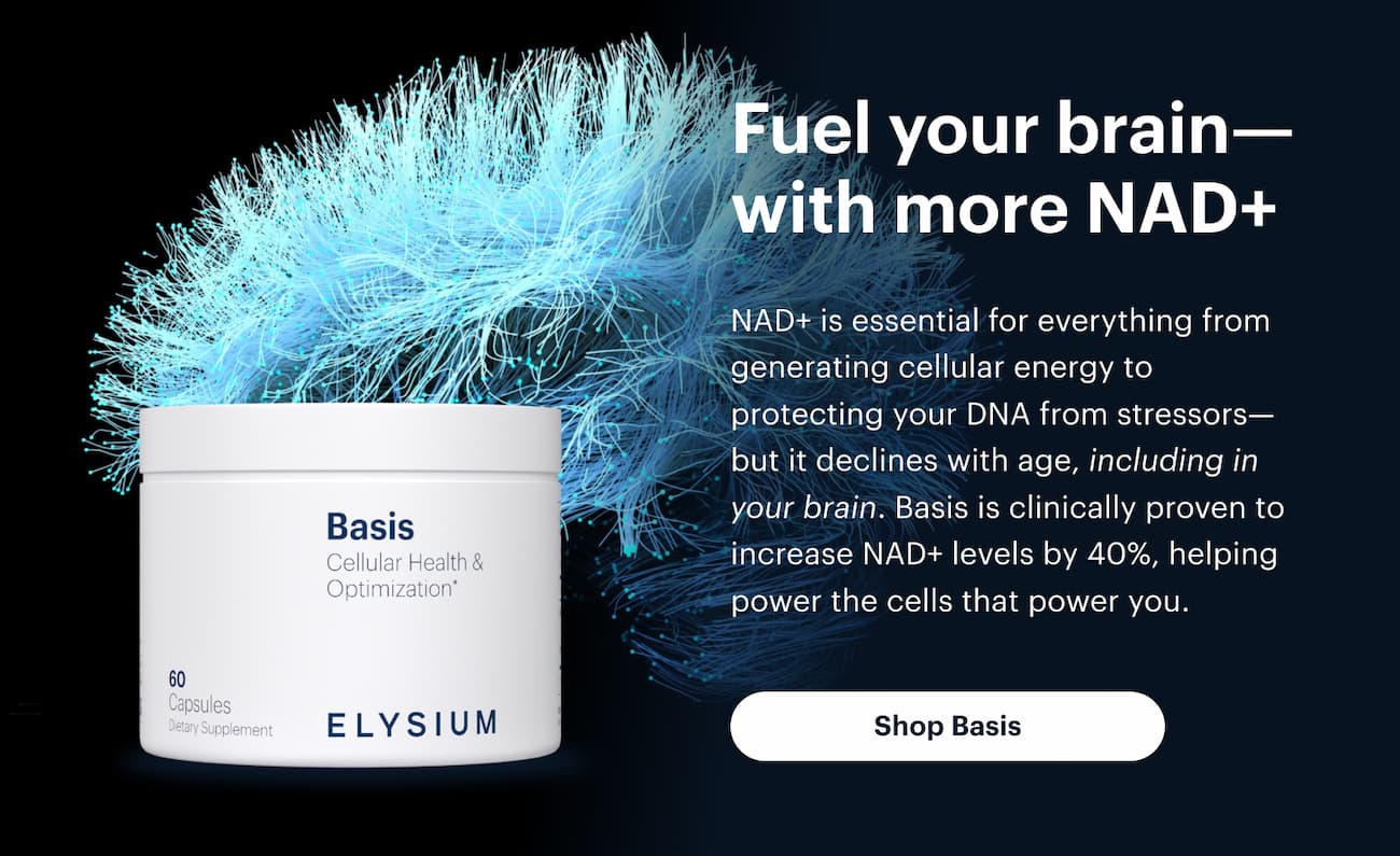 Fuel your brain—with more NAD+