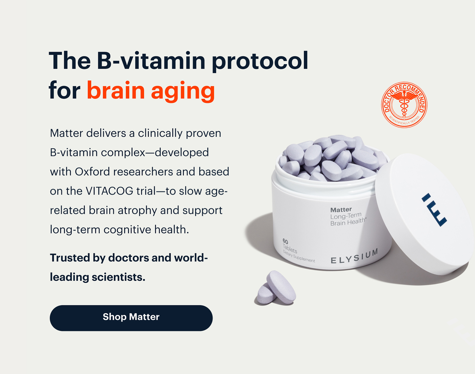 The B-vitamin protocol for brain aging | Shop Matter