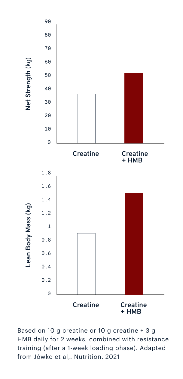 Lean Body Mass (kg) | Net Strength (kg) | Based on 10 g creatine or 10 g creatine + 3 g HMB daily for 2 weeks, combined with resistance training (after a 1-week loading phase). Adapted from Jówko et al,. Nutrition. 2021