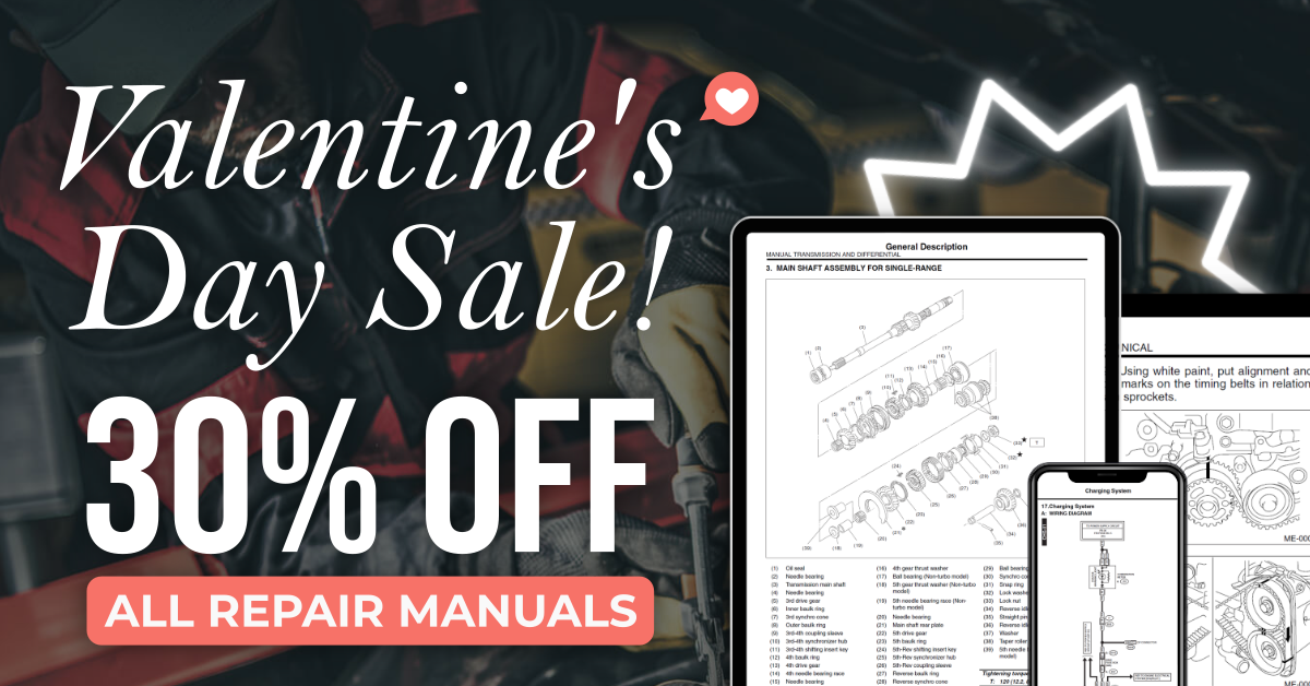 Valentine’s Day Sale