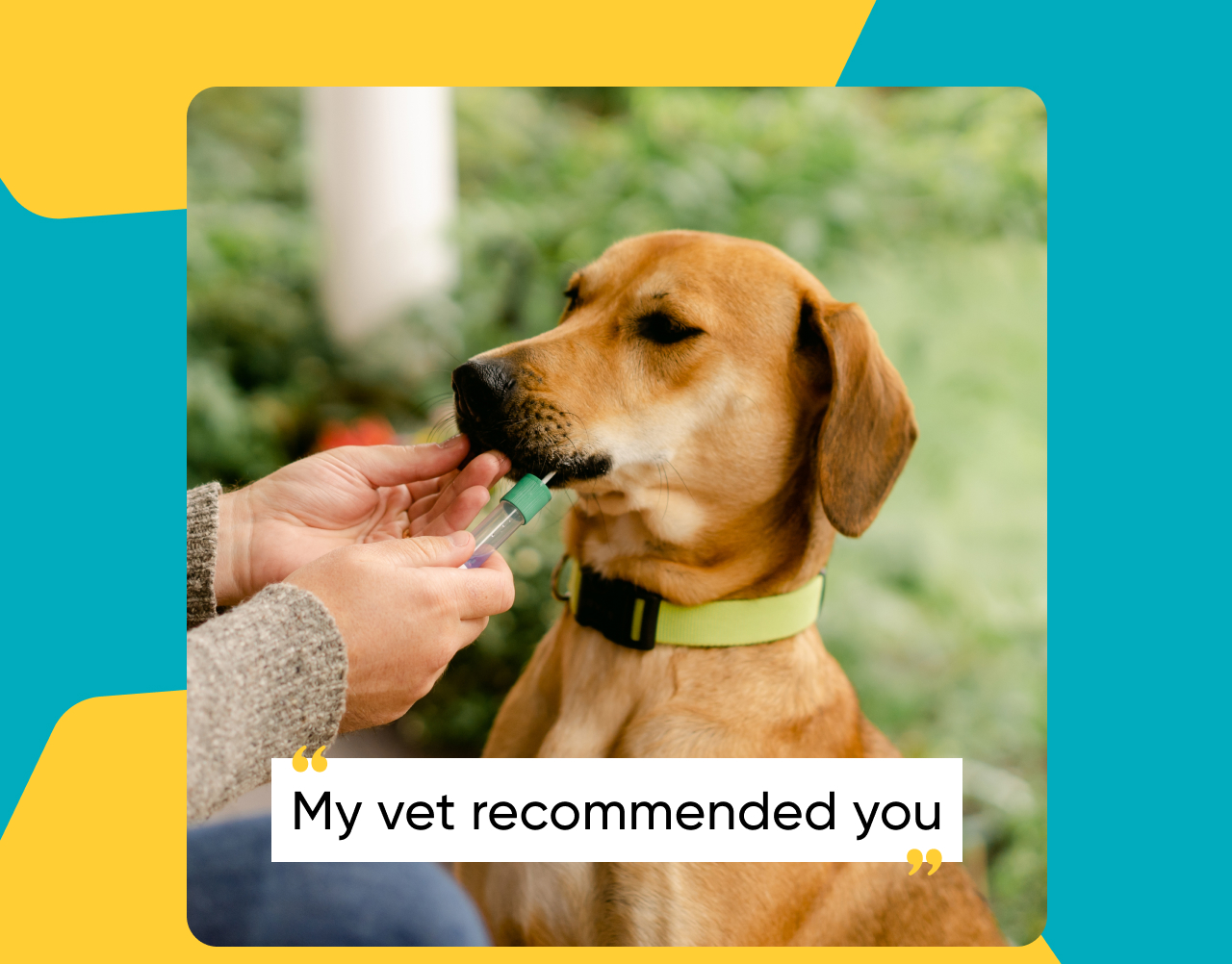 ''My vet recommended you.''