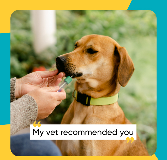 ''My vet recommended you.''