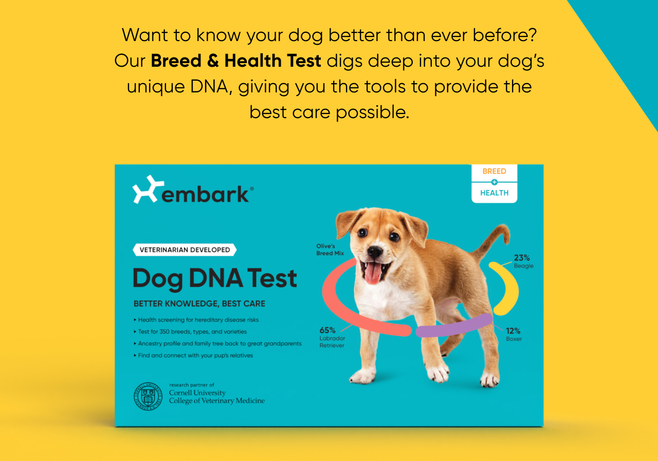 Our Breed + Health Test digs deeper into your dog's unique DNA, giving you the tools to provide the best care possible.