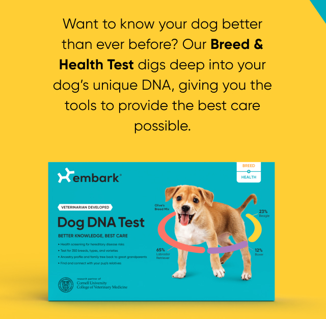 Our Breed + Health Test digs deeper into your dog's unique DNA, giving you the tools to provide the best care possible.