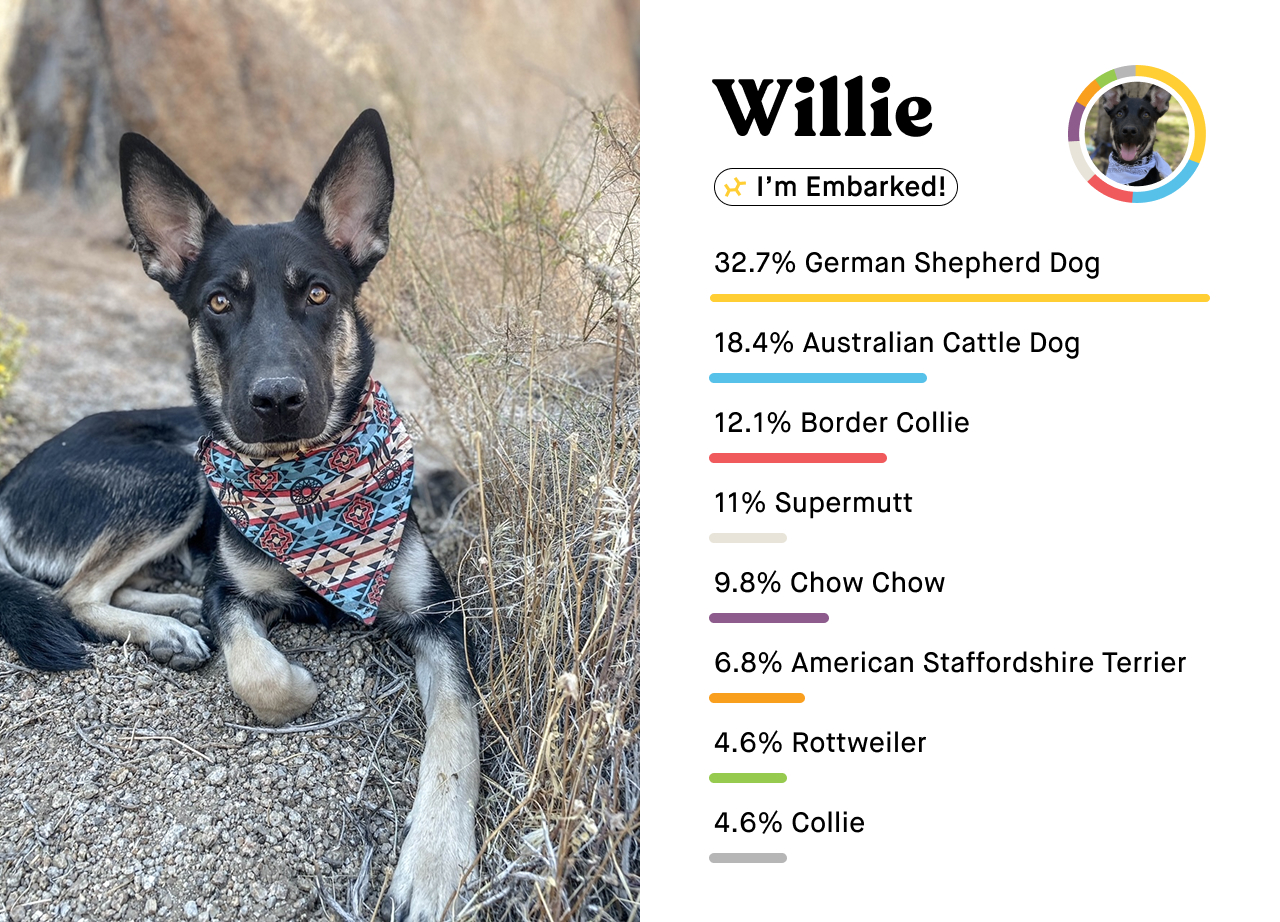 Willie's Breed Breakdown