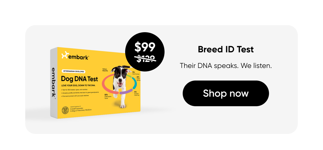 Shop Breed ID Test