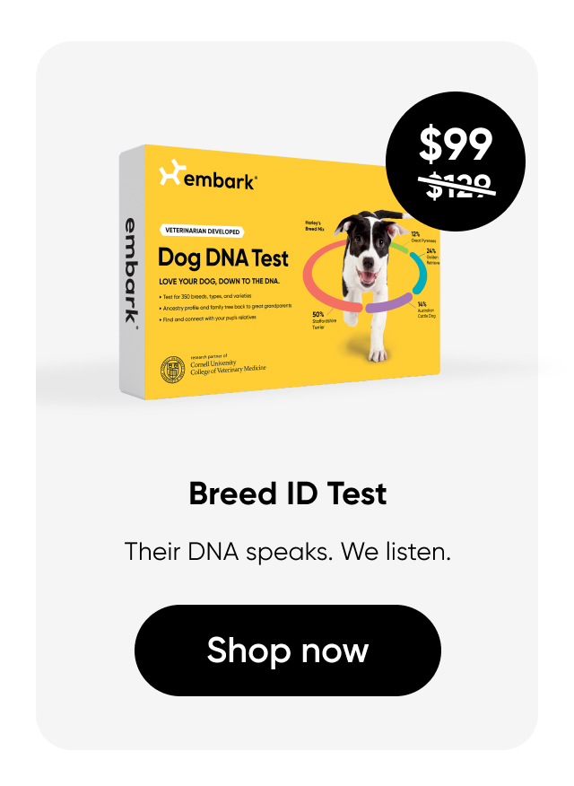 Shop Breed ID Test