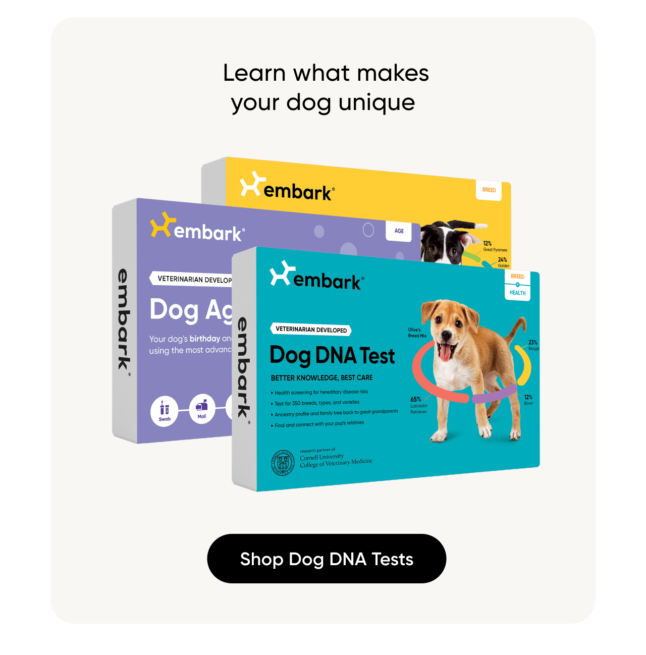 Learn what makes your dog unique