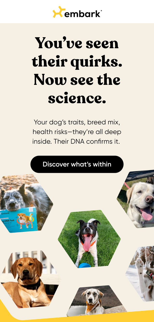 Your dog's story is hidden in their DNA. Discover their DNA