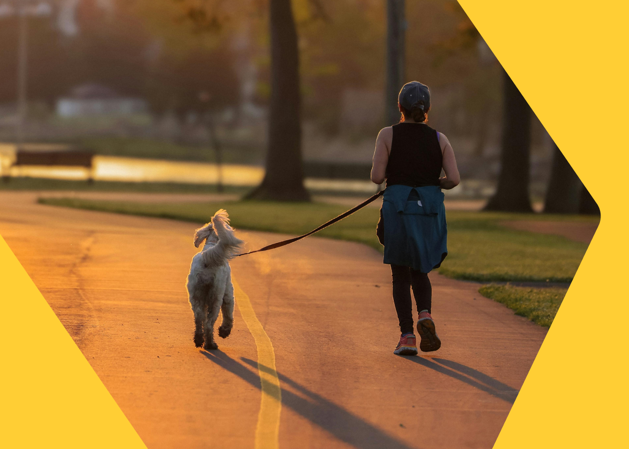 Tips for Running With Your Dog