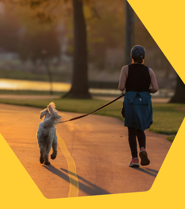 Tips for Running With Your Dog