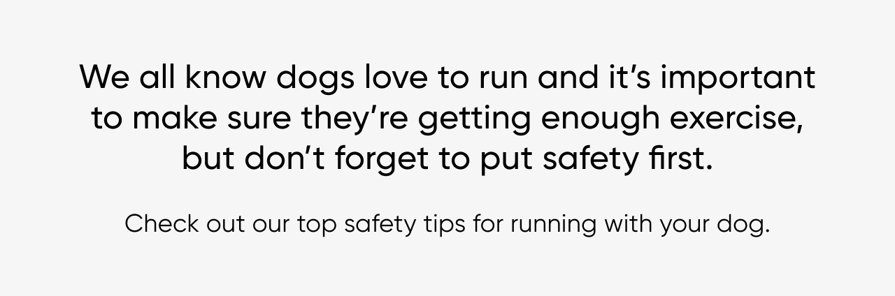 Top safety tips for running with your dog.
