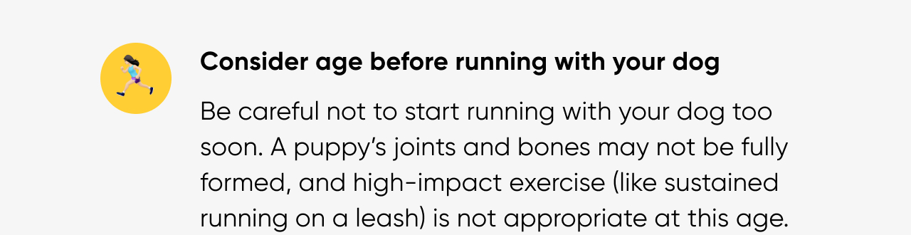 Consider age before running with your dog
