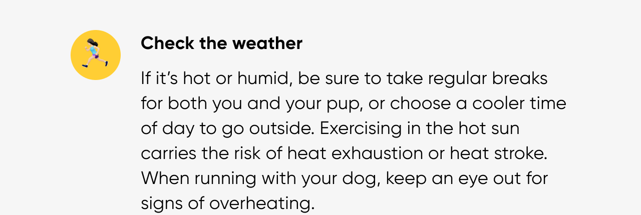 Check the weather