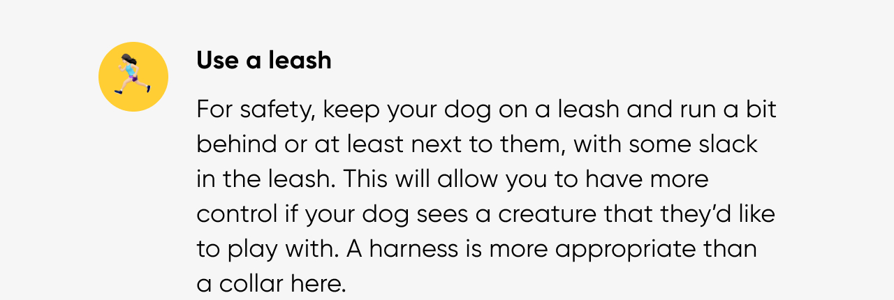 Use a leash