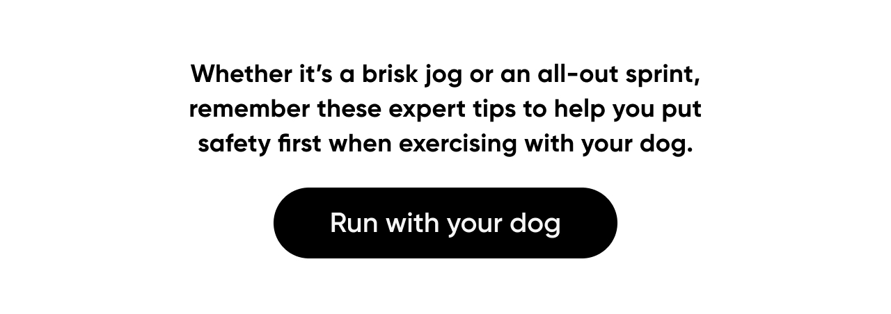 Run with your dog