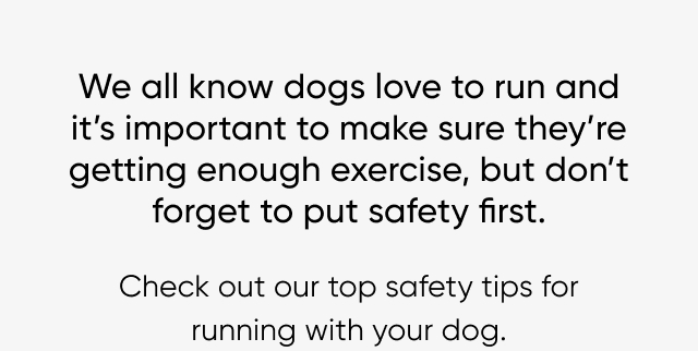 Top safety tips for running with your dog.