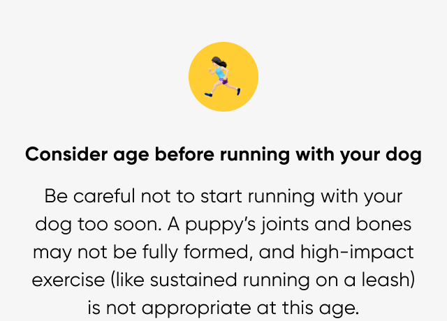 Consider age before running with your dog