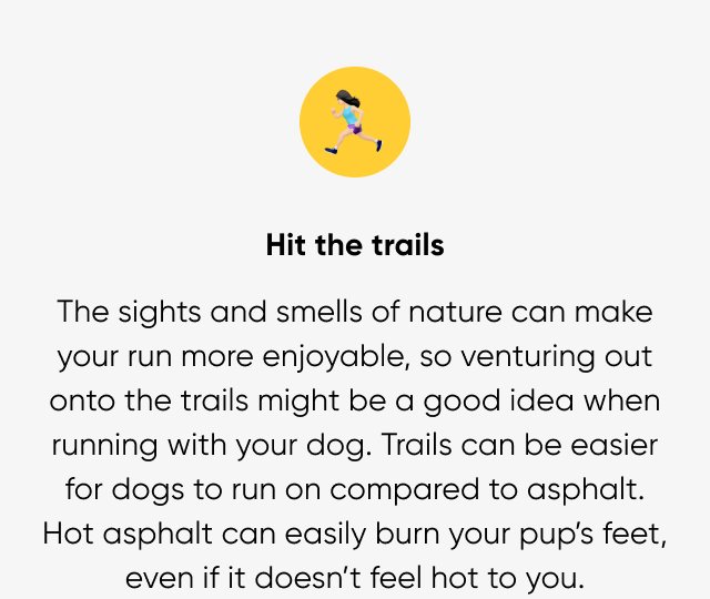 Hit the trails