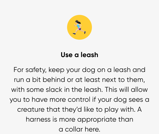Use a leash