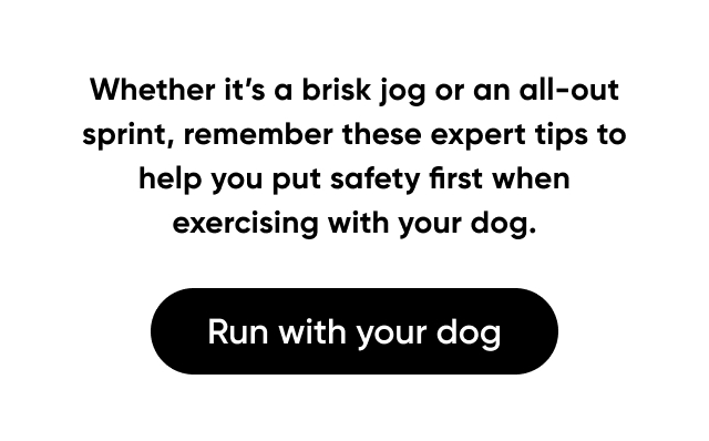 Run with your dog