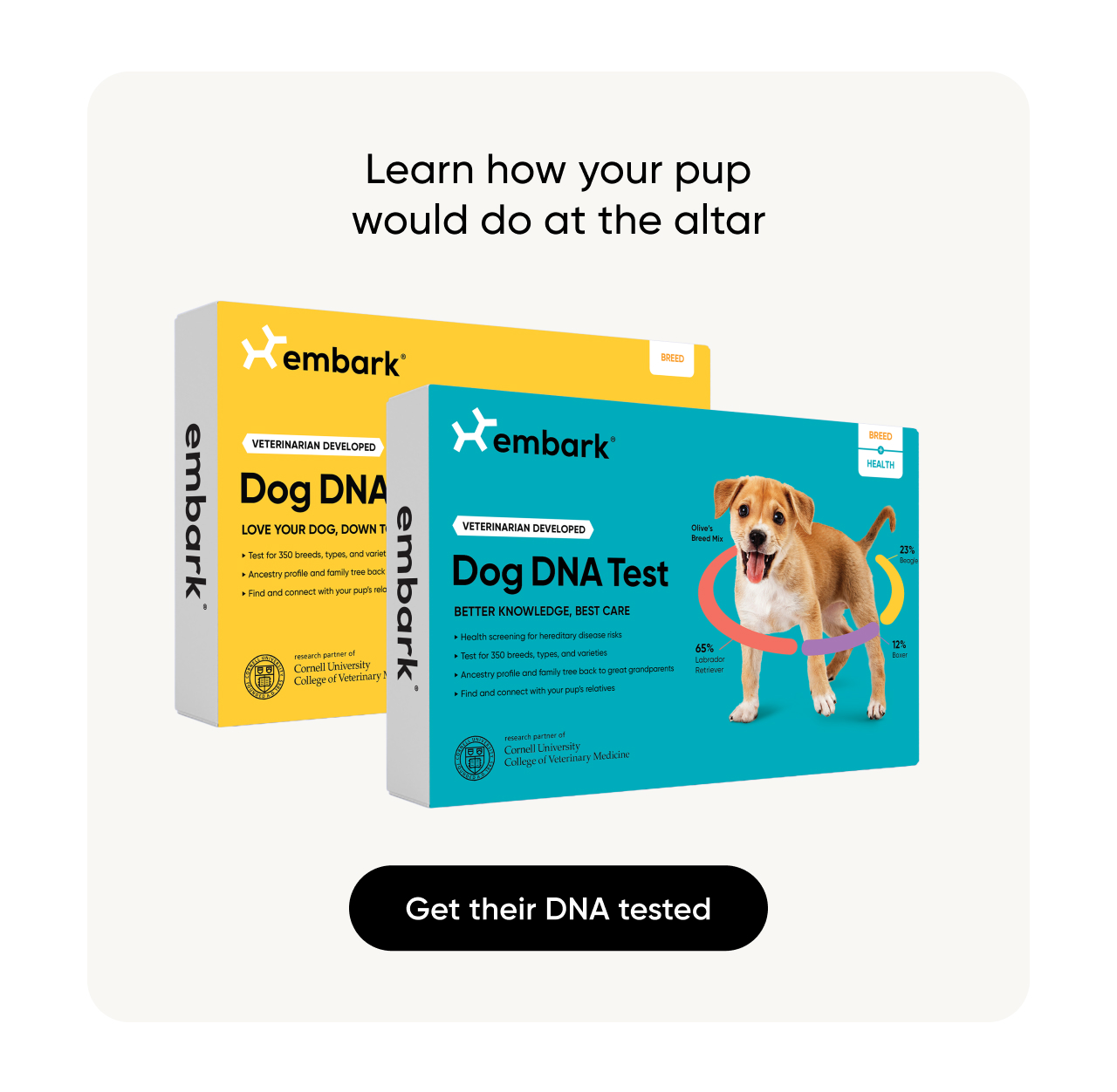 Learn how your pup would do at the altar