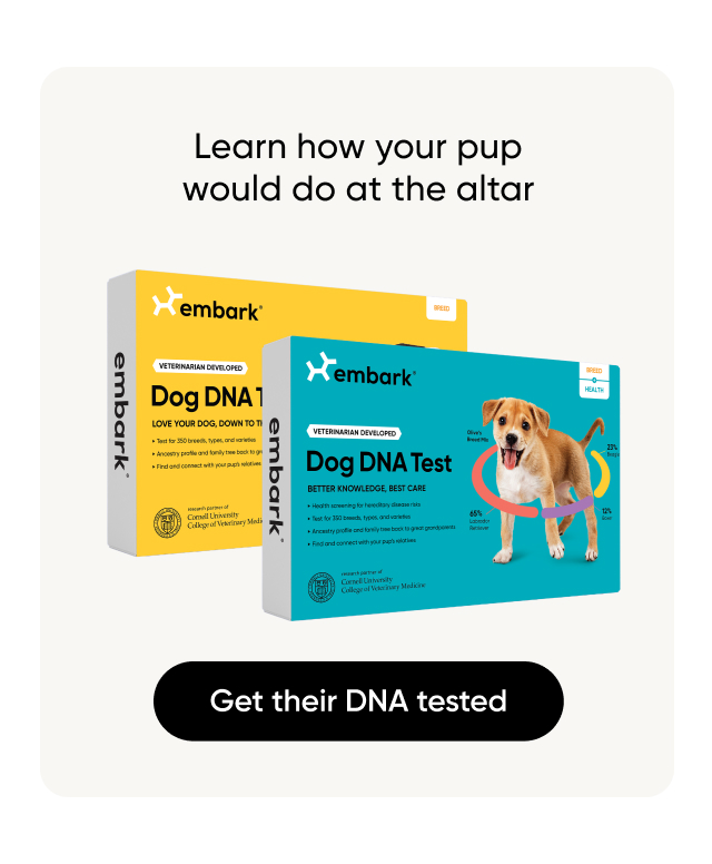 Learn how your pup would do at the altar