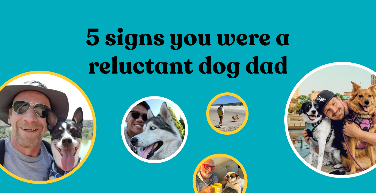 5 signs you were a reluctant dog dad