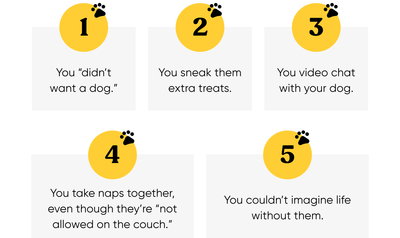 5 Signs You're a Dog Dad