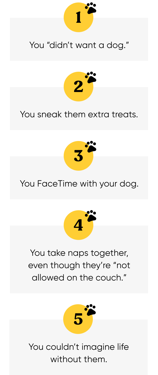 5 Signs You're a Dog Dad