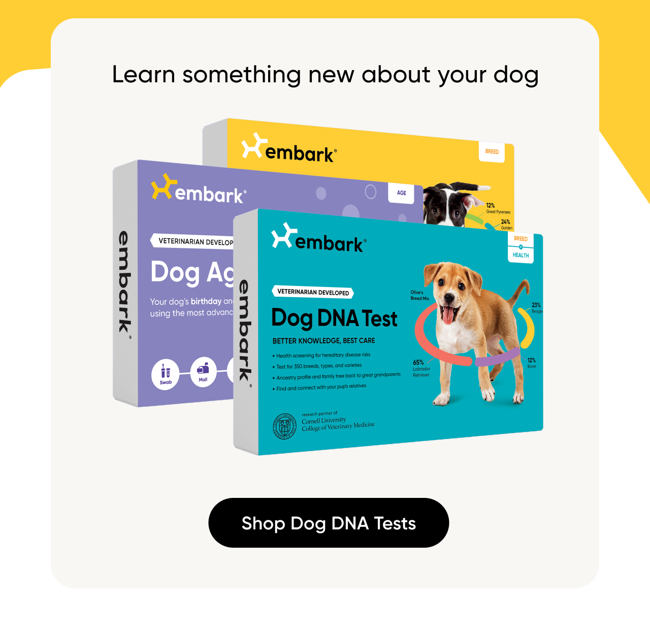 Learn something new about your dog