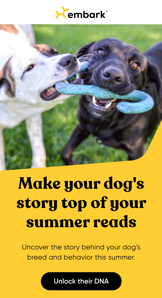 Make your dog's story top of your summer reads