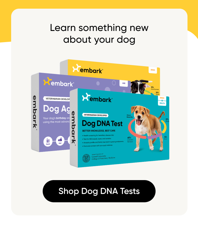 Learn something new about your dog