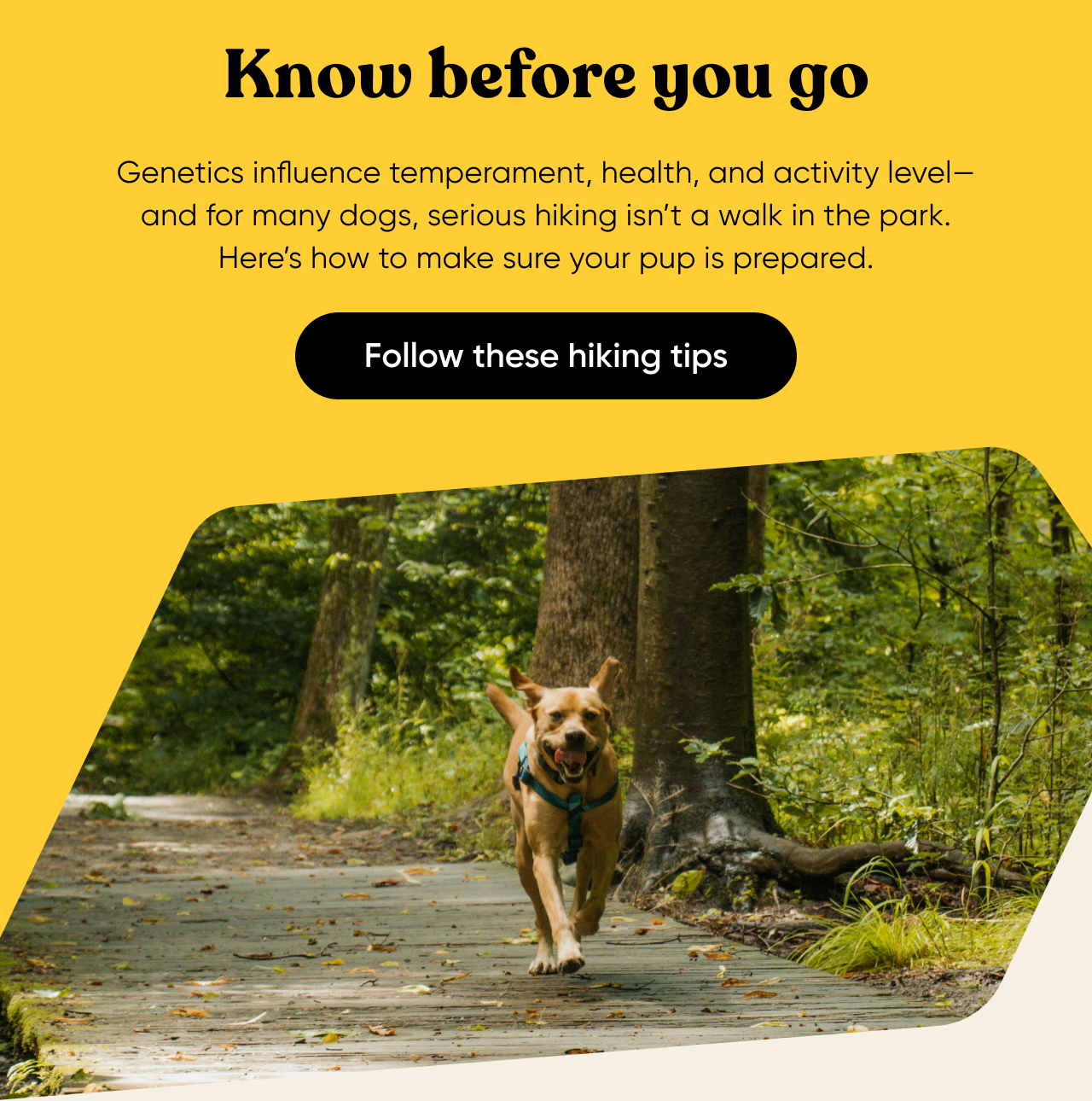 Follow these hiking tips