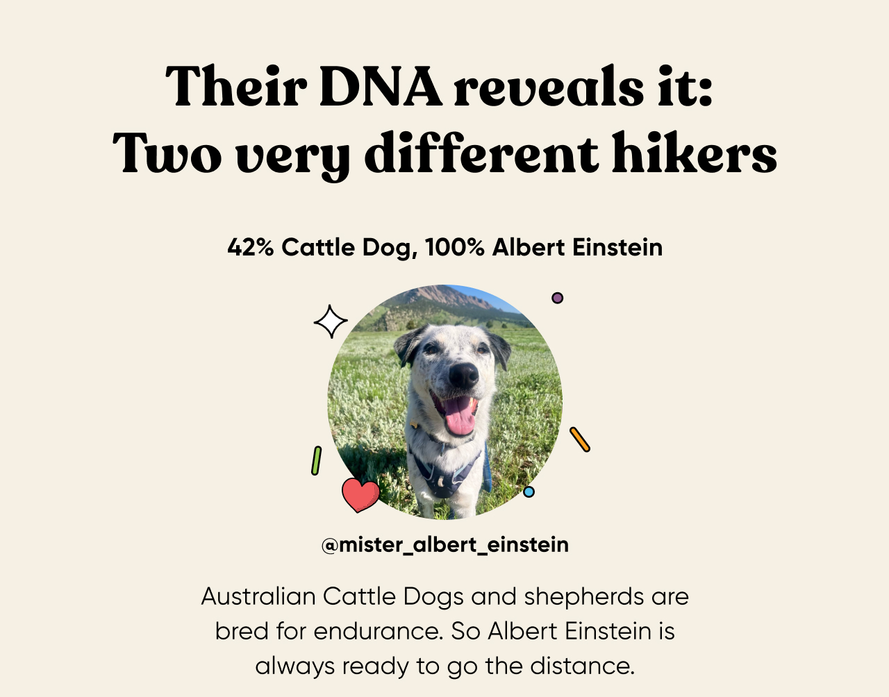 Meet Albert Einstein, super sprinter