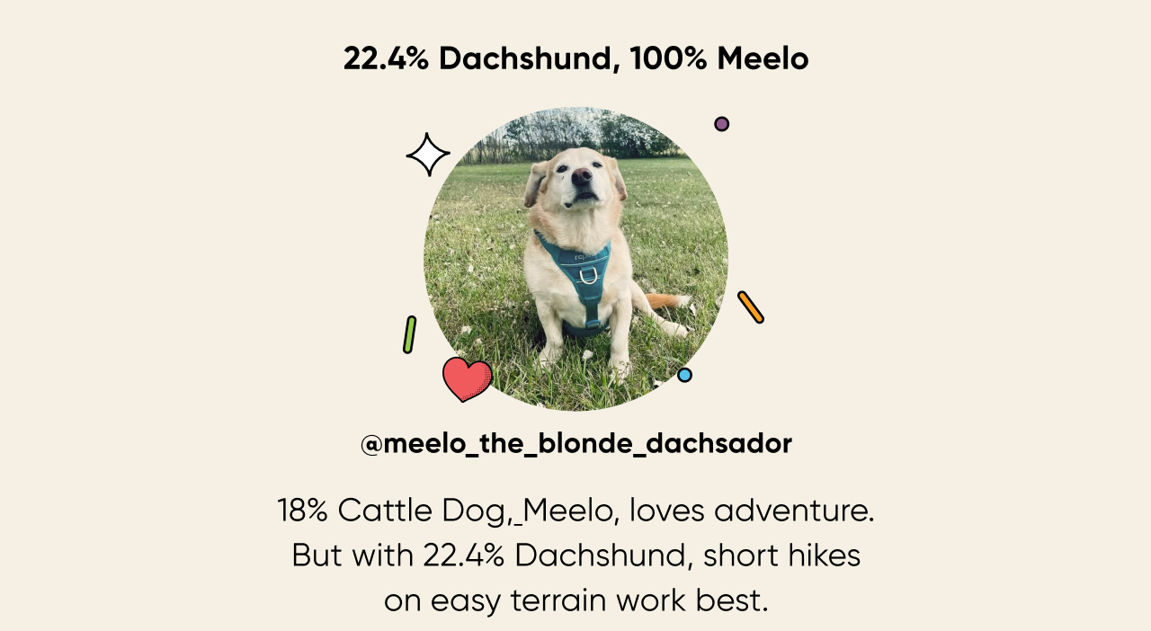 Meet Meelo, the ultimate grass-roller