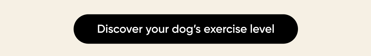 Discover your dog's activity level