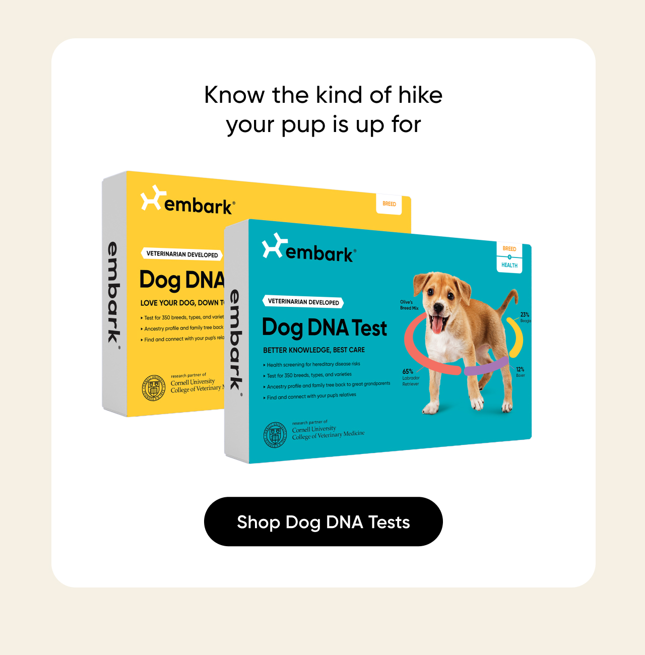 Know the kind of hike your pup is up for