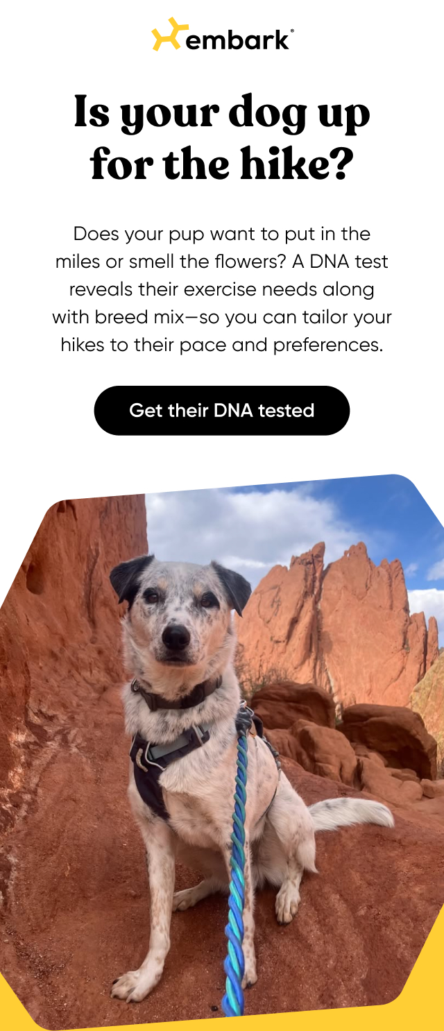 Discover their breed mix