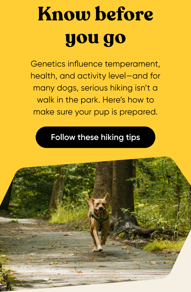 Follow these hiking tips
