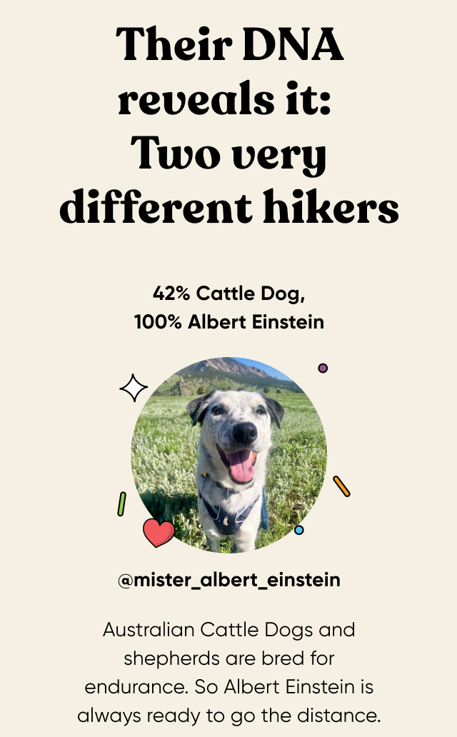 Meet Albert Einstein, super sprinter